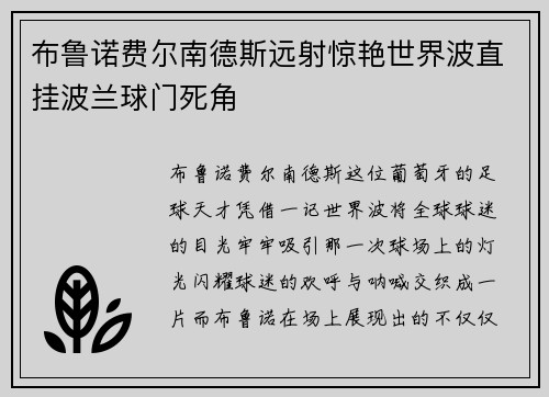 布鲁诺费尔南德斯远射惊艳世界波直挂波兰球门死角